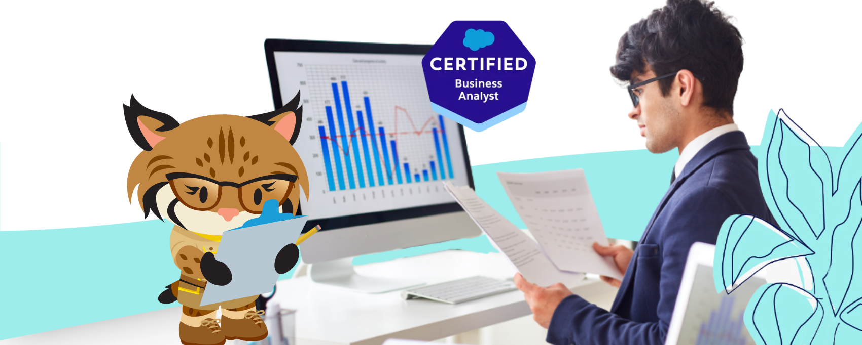 Expert Guide To The Salesforce Business Analyst Certification